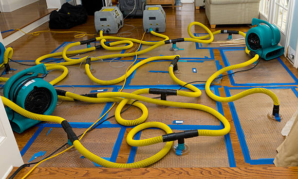 Professional Water Damage Repair technician working in Clinton, PA